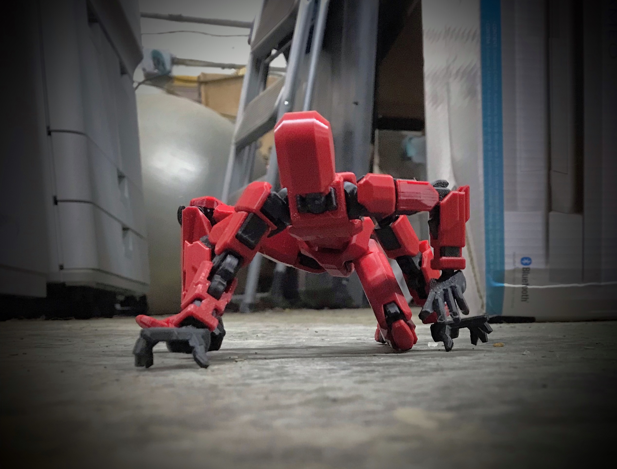 A Box of Kittens is on its way, somewhere: